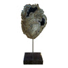 Petrified Wood Sculpture On Black Marble Base