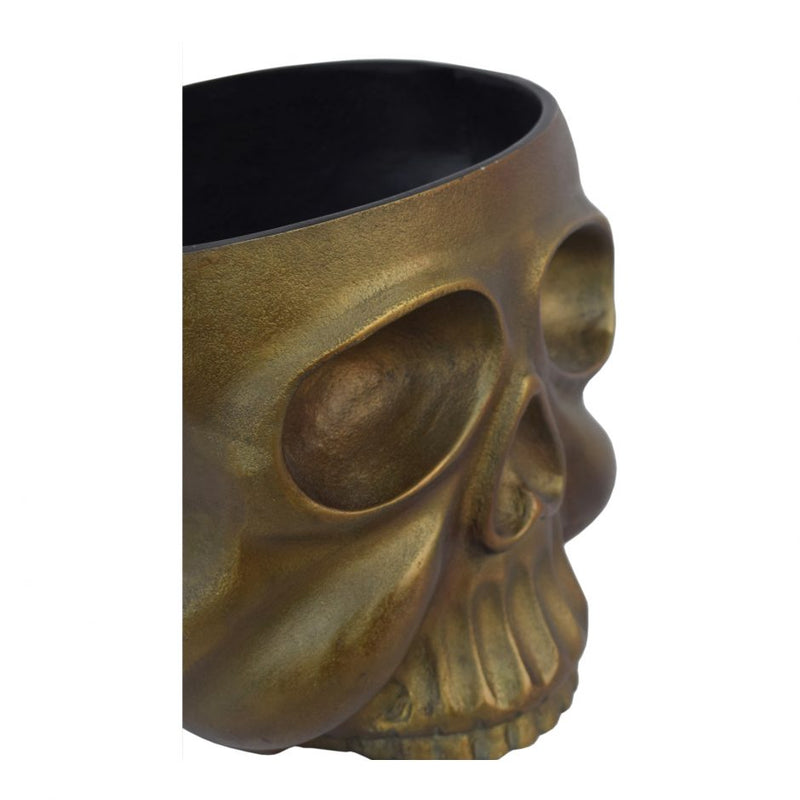 Metal Skull Planter