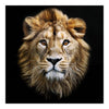 African Lion Wall Decor