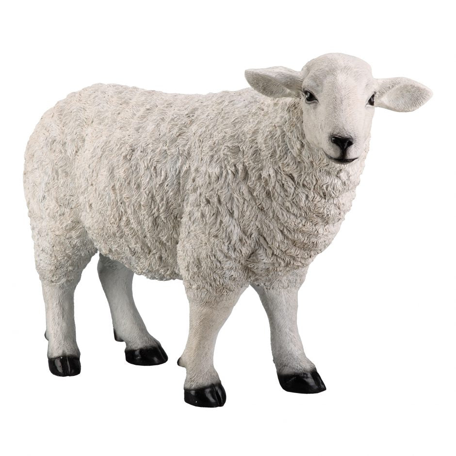 Baa Baa White Sheep Statue