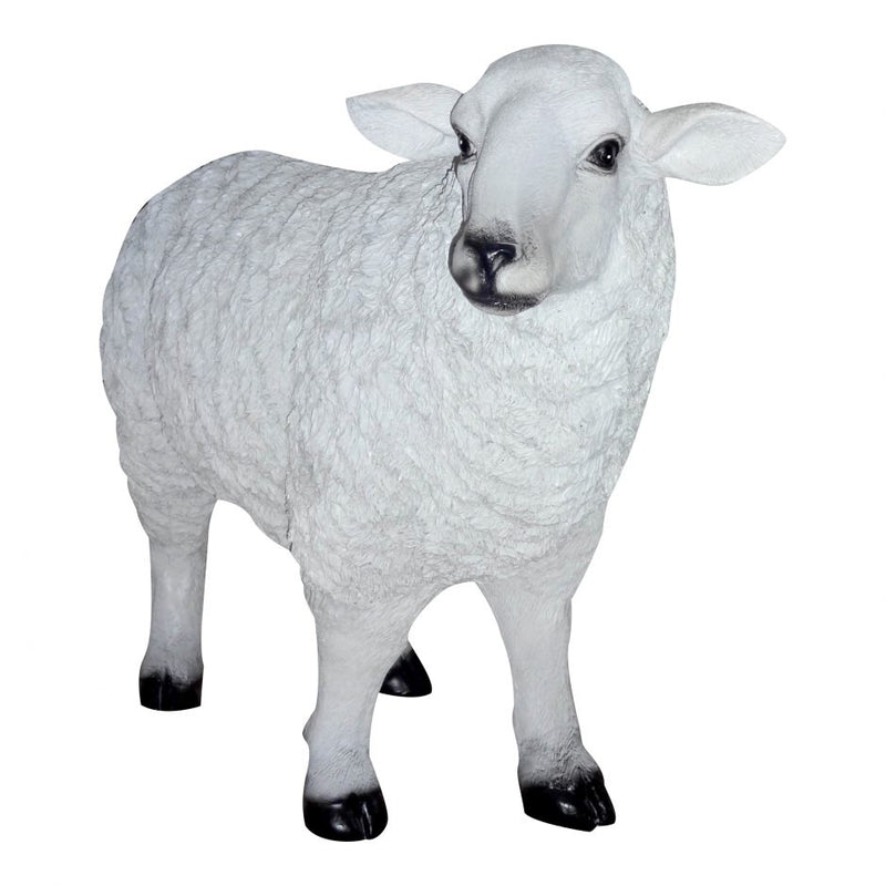 Baa Baa White Sheep Statue