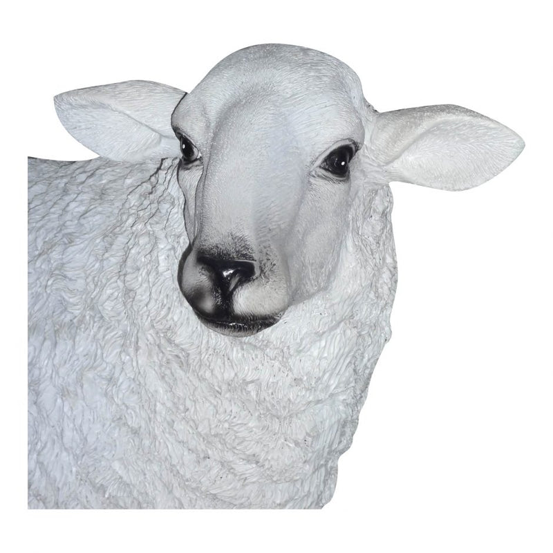 Baa Baa White Sheep Statue – hausdecorations