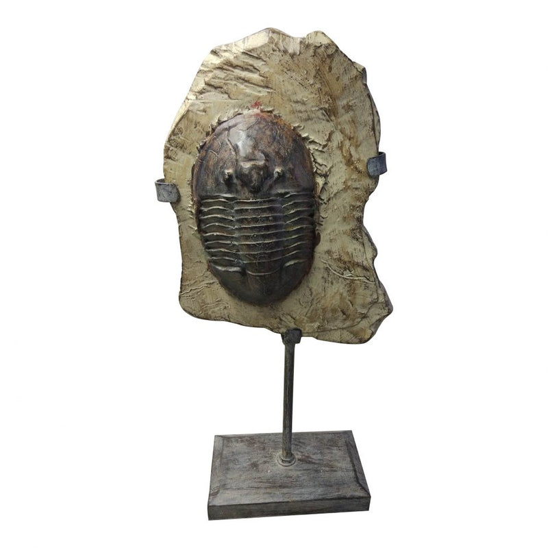 Trilobite Fossil On Stand