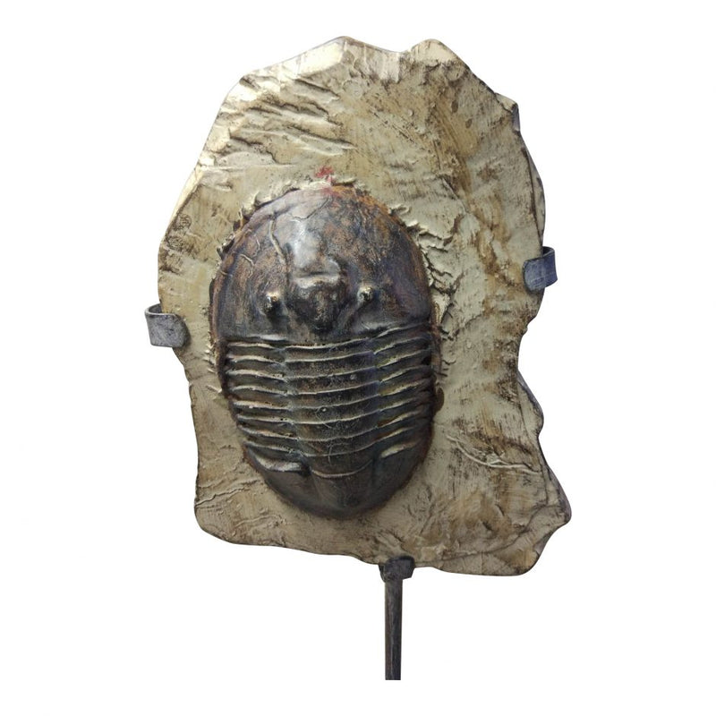 Trilobite Fossil On Stand