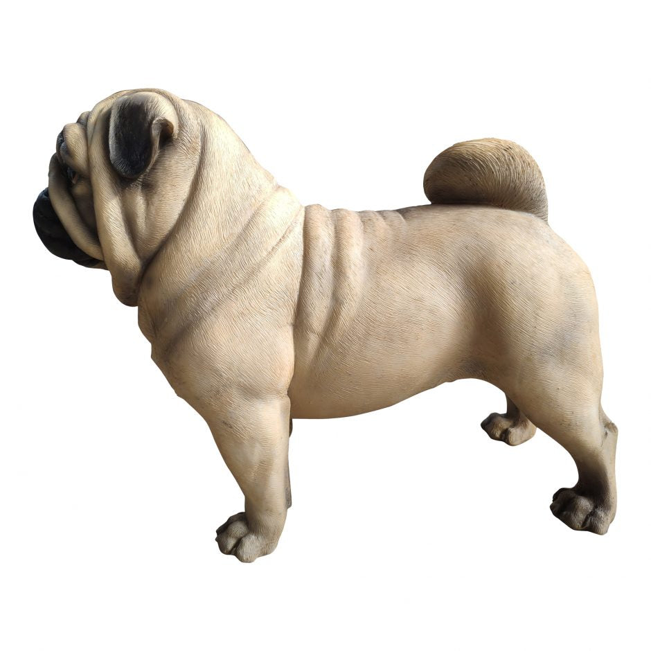 Sir Pugsly Statue