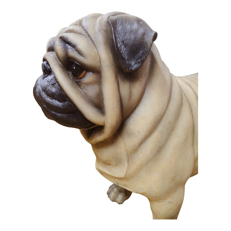 Sir Pugsly Statue